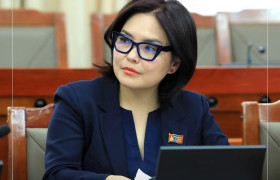 Д.Энхтуяа: Манай улсад асрахуй, сувилахуйн асуудлаар эрх зүйн болон тогтолцооны томоохон шинэчлэл хэрэгтэй