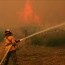 Г.Галбадрах: Түймрийн улмаас байгальд 6.2 сая төгрөгийн хохирол учирчээ