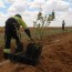 “Эрдэнэс-Тавантолгой” ХК-ийн Ногоон говь хөтөлбөр амжилттай хэрэгжсээр байна