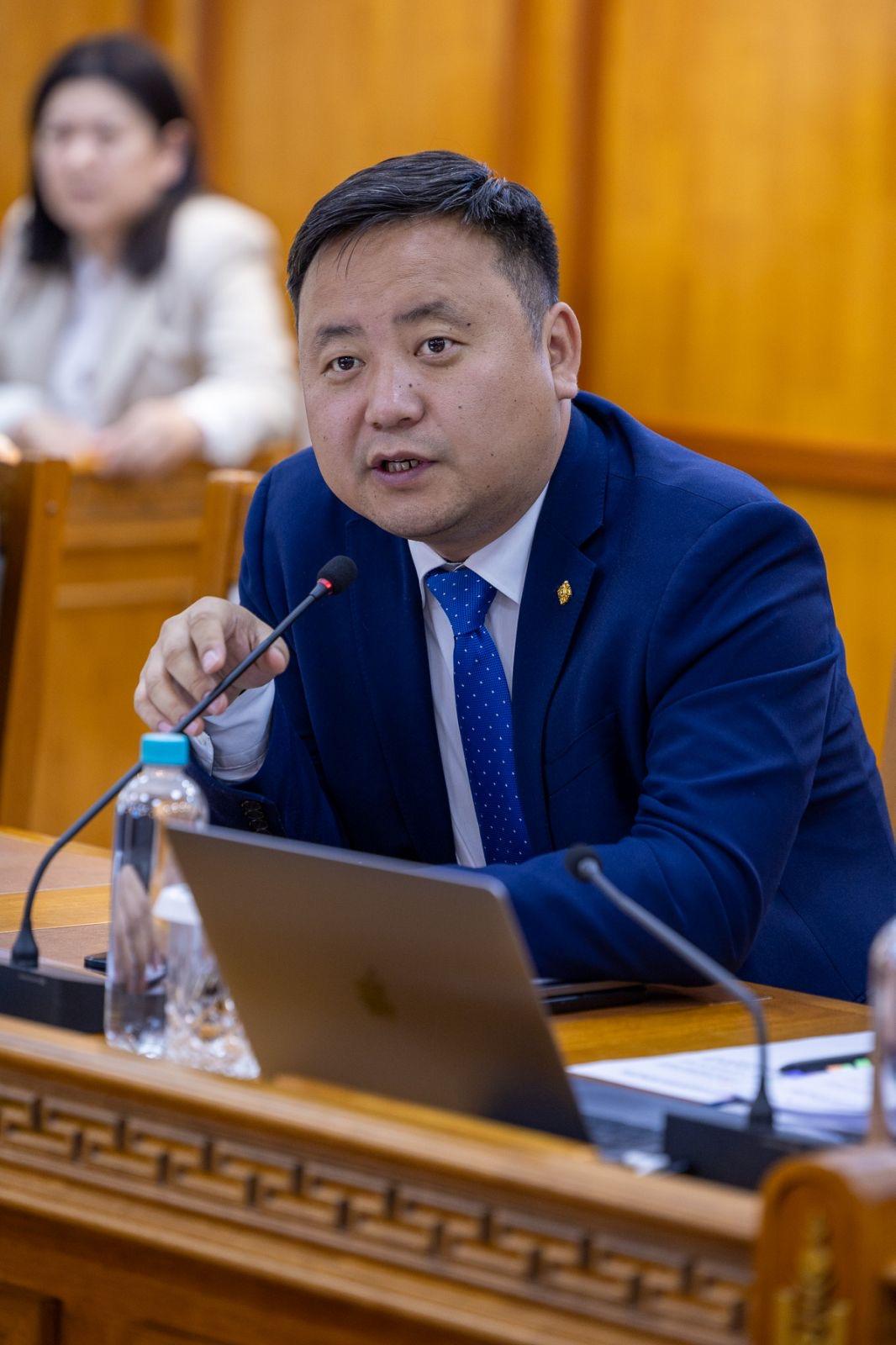 Иргэдийн төлсөн нэмэгдсэн өртгийн албан татварыг шаталсан хэлбэрээр 100 хүртэл хувиар буцаан олгоно
